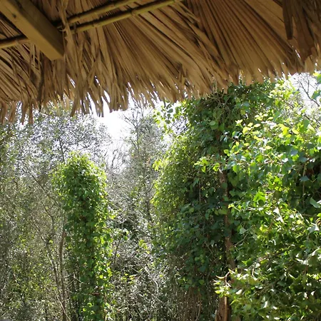 Campeggio Hidden Forest Retreat