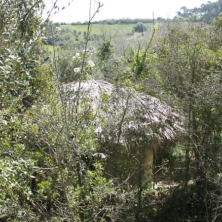 Campeggio Hidden Forest Retreat