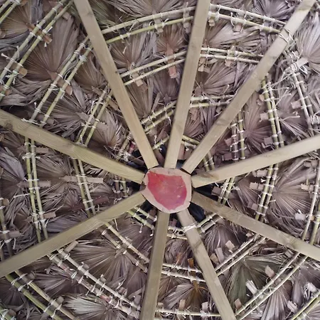 Hidden Forest Retreat Campeggio