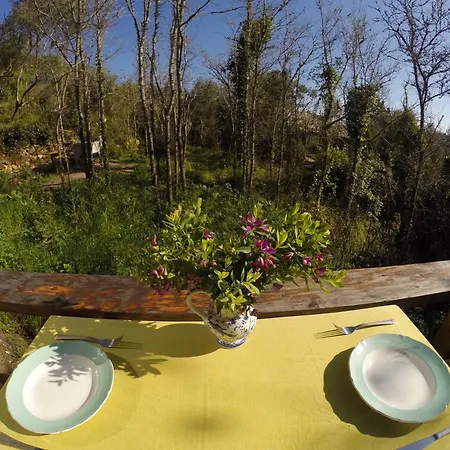 Hidden Forest Retreat Kemping Carvoeira