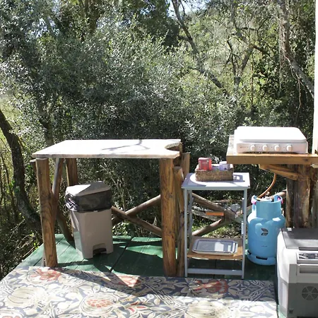 Hidden Forest Retreat Campeggio Carvoeira