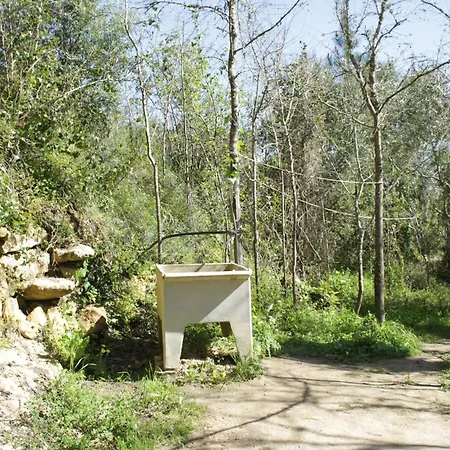 Kemp Hidden Forest Retreat *