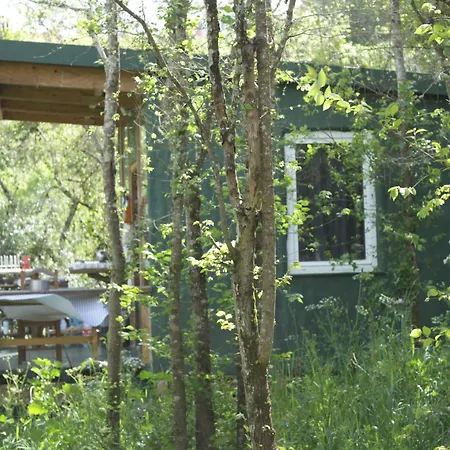 Hidden Forest Retreat Kemping Carvoeira