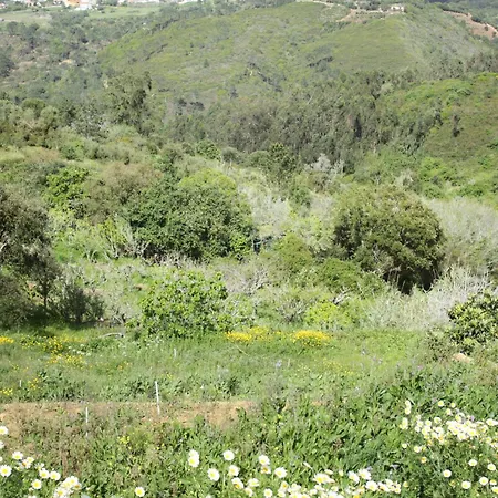 Campeggio Hidden Forest Retreat *