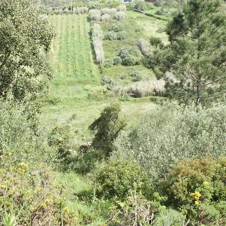 Hidden Forest Retreat Campeggio