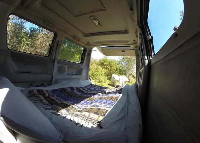 Camping Hidden Forest Retreat *