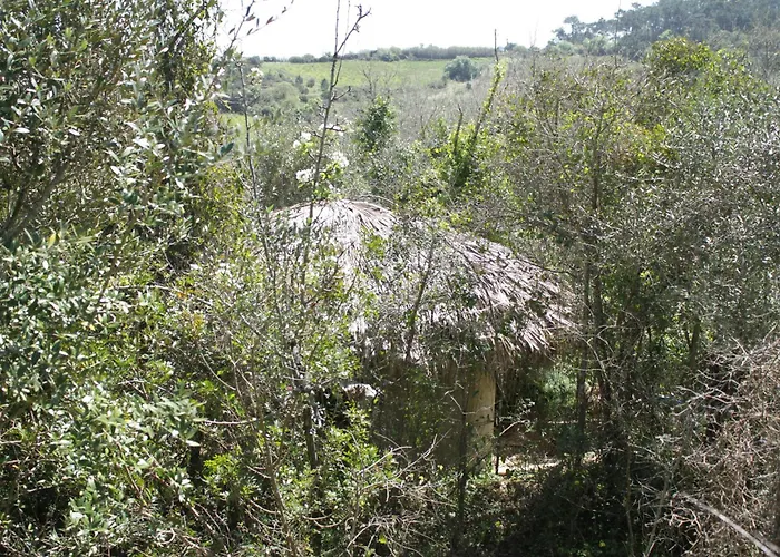 Camping Hidden Forest Retreat