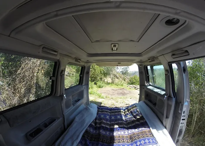 Camping Hidden Forest Retreat