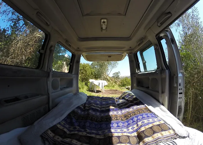 Hidden Forest Retreat Camping *