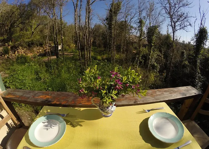 Hidden Forest Retreat Kemping Carvoeira