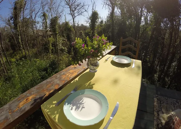 Camping Hidden Forest Retreat