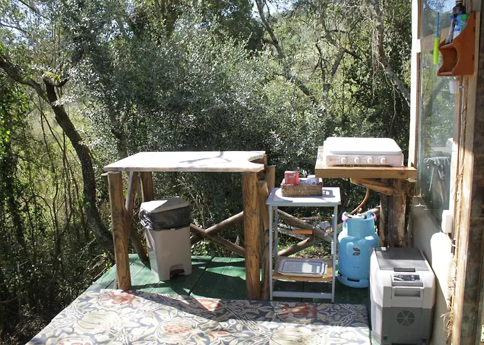 Hidden Forest Retreat Kemping Carvoeira
