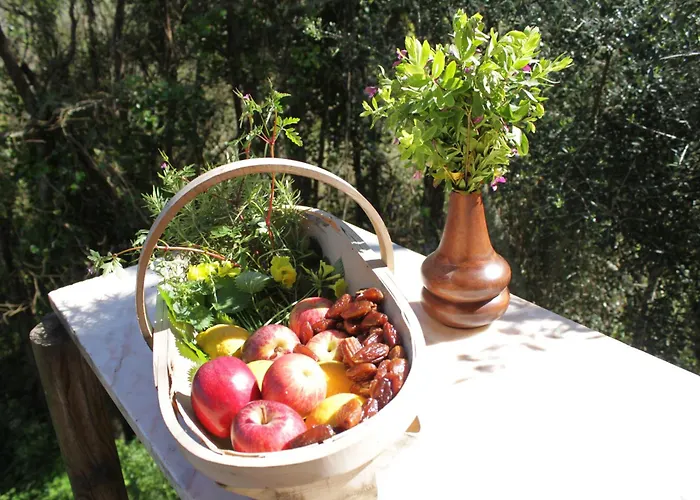 Camping Hidden Forest Retreat *