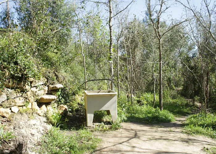 Kemping Hidden Forest Retreat *