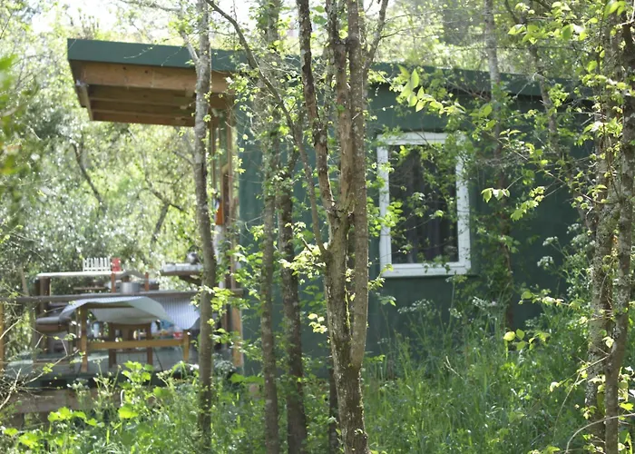 Hidden Forest Retreat Kemping Carvoeira
