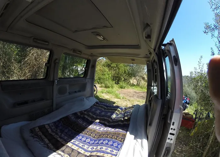 Hidden Forest Retreat * Carvoeira