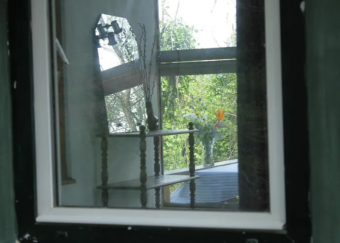 Camping Hidden Forest Retreat Carvoeira