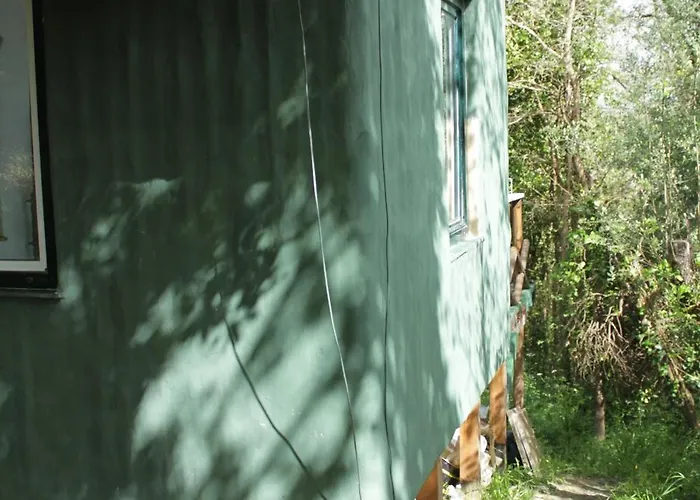 Hidden Forest Retreat Kemping *