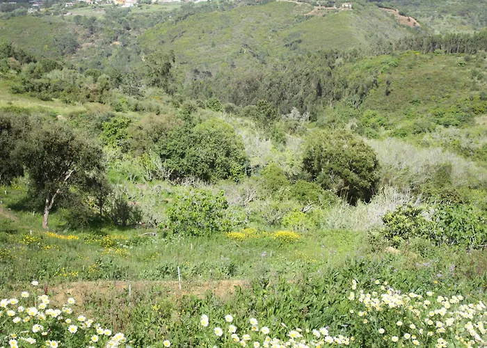 Kemping Hidden Forest Retreat *